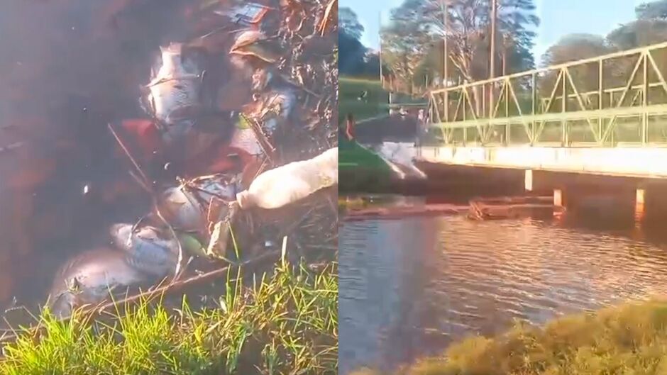 Leitor se espanta com peixes mortos no lago do Parque das Na&ccedil;&otilde;es Ind&iacute;genas