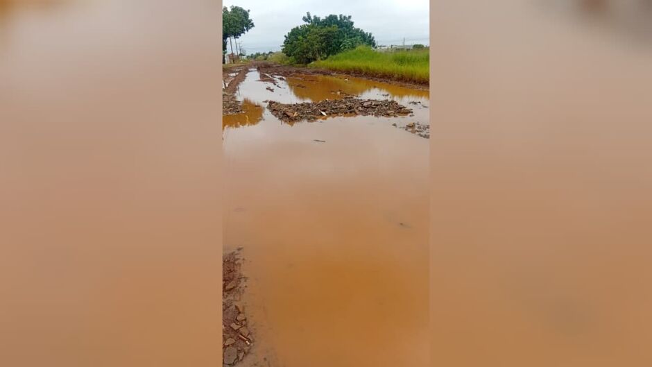Po&ccedil;a de lama ganhou nome de 'Lagoa Flora do Pantanal' no Riviera Park