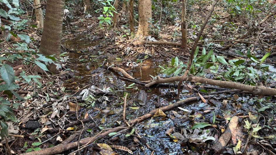 A &aacute;rea est&aacute; sendo preservada pelo pr&oacute;prio condom&iacute;nio