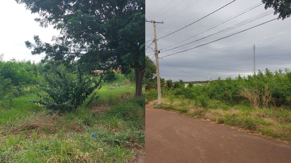 Os moradores n&atilde;o conseguem acessar o espa&ccedil;o p&uacute;blico devido a falta de limpeza na &aacute;rea 