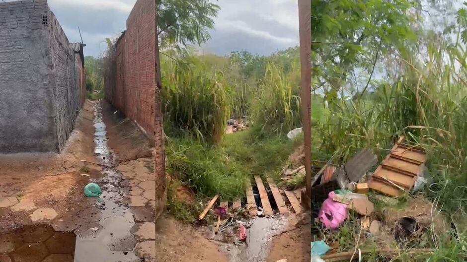 Matagal indigna moradora por descaso da prefeitura 