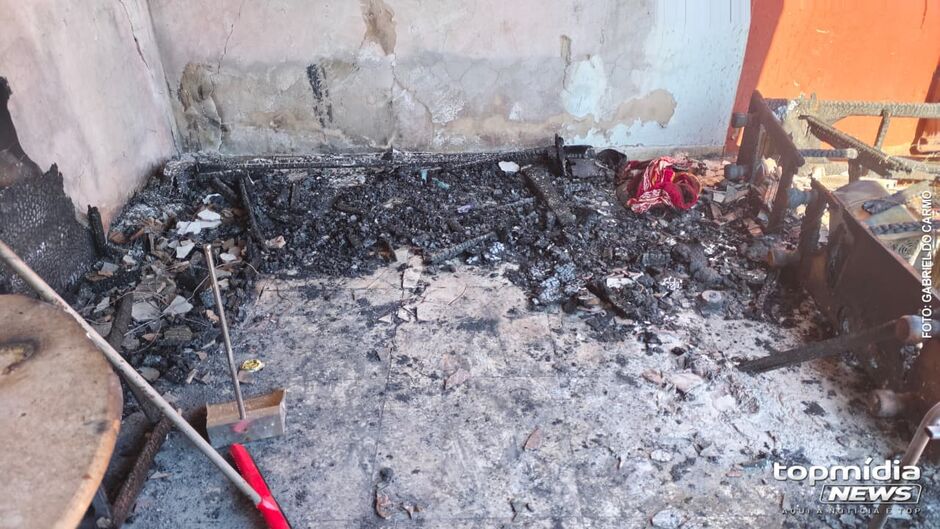 Homem teria ficado transtornado ao saber das mortes de seus pets