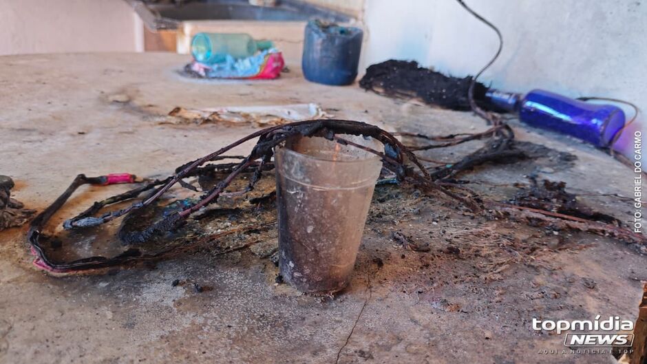 Homem teria ficado transtornado ao saber das mortes de seus pets