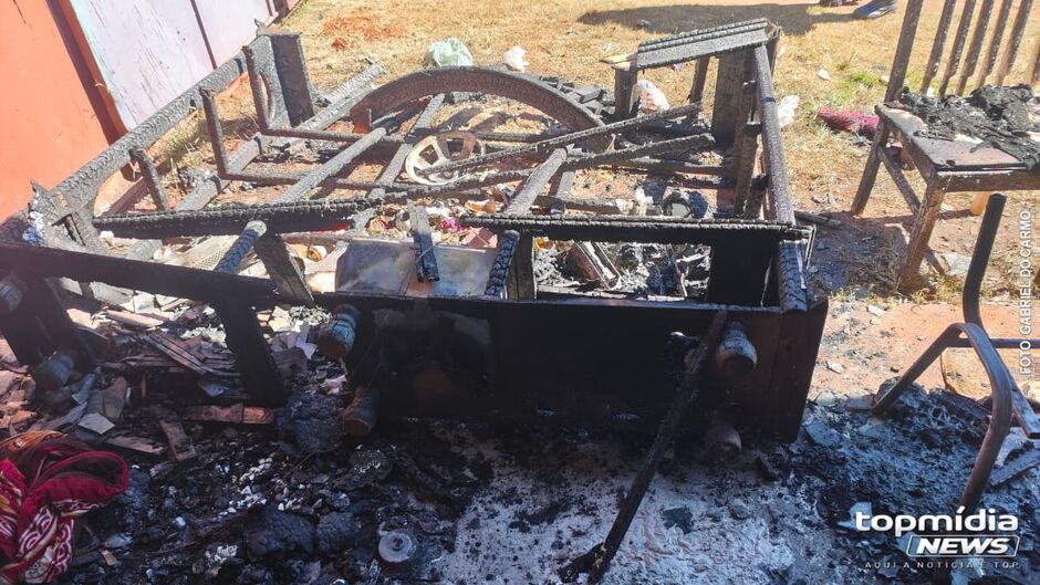 Homem teria ficado transtornado ao saber das mortes de seus pets