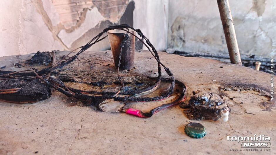 Homem teria ficado transtornado ao saber das mortes de seus pets
