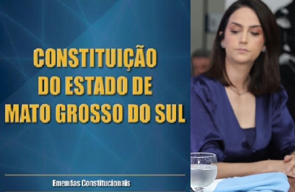 Candidata praticamente copiou lei 