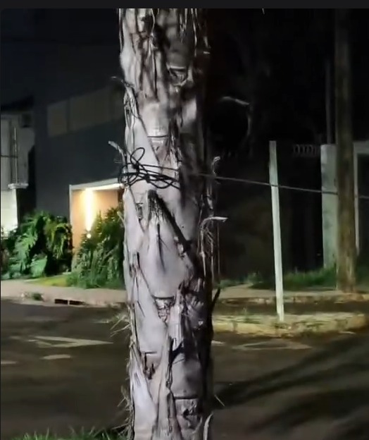 Fio est&aacute; sinalizado com sacolinha