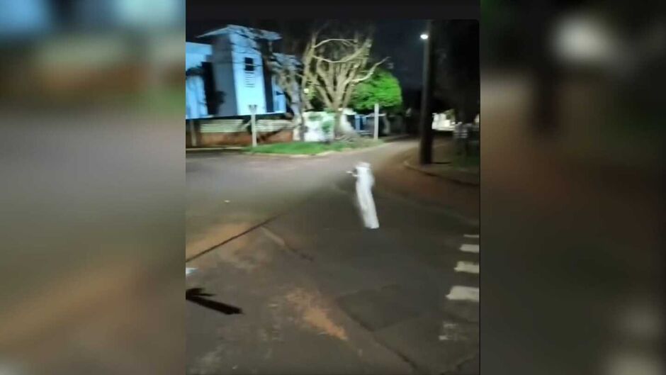Fio est&aacute; sinalizado com sacolinha