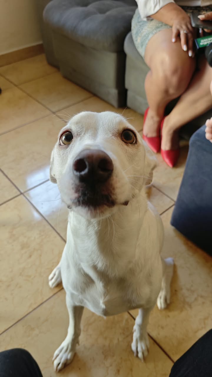 Luane quer trabalhar de casa para cuidar melhor da m&atilde;e