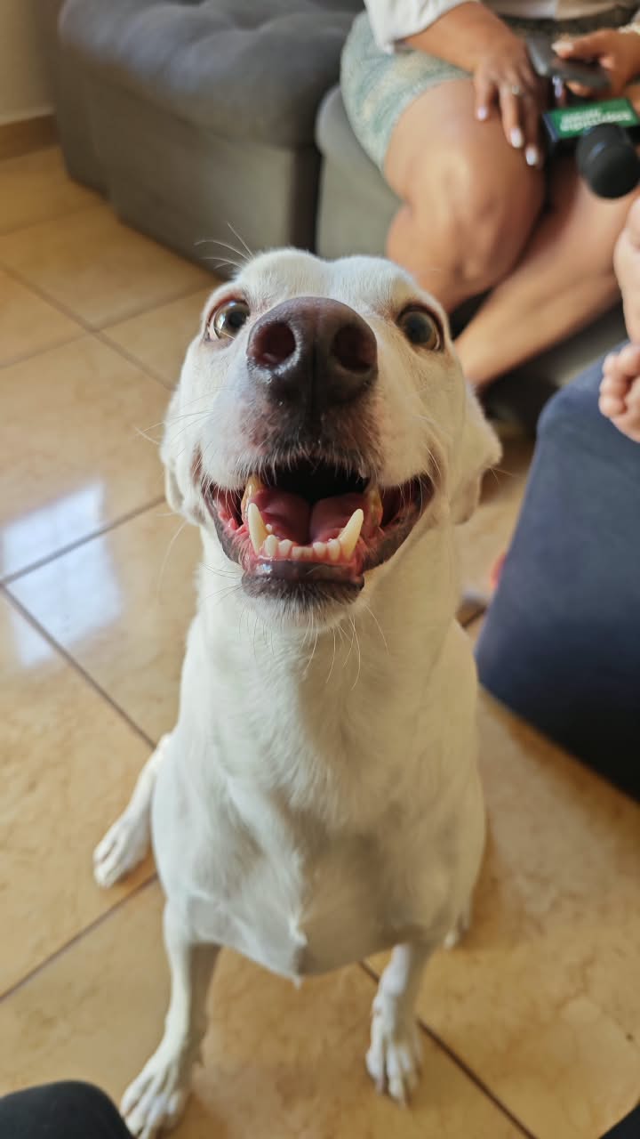 Luane quer trabalhar de casa para cuidar melhor da m&atilde;e