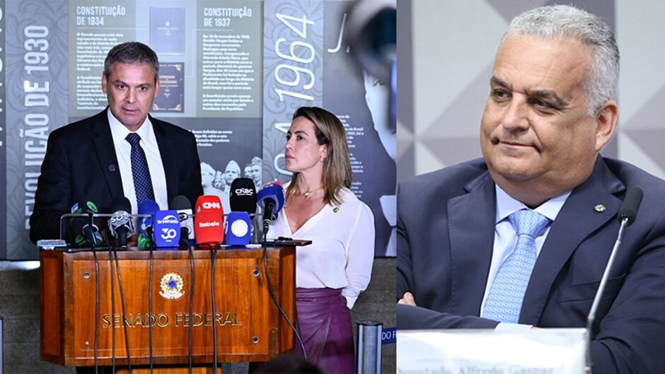 Senadora de MS diz que n&atilde;o precisa provar nada