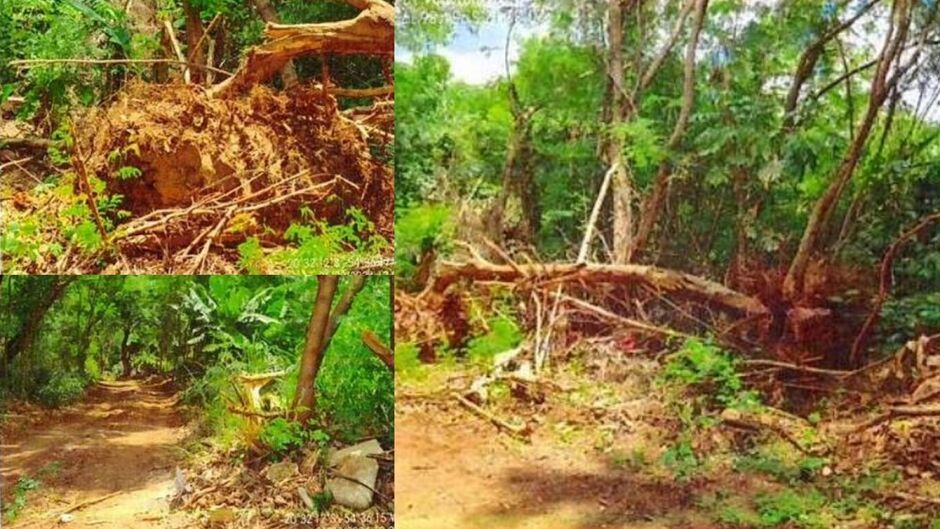 Estrada irregular motivou inqu&eacute;rito 