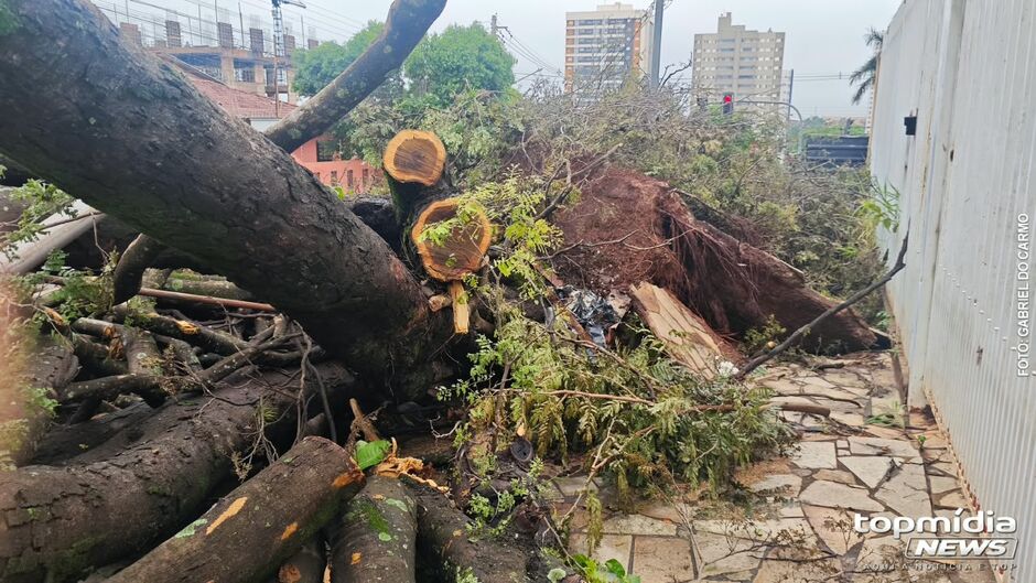Porta danificada ser&aacute; trocada; or&ccedil;amento ficou em R$ 5 mil