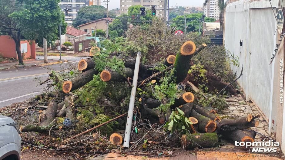 Porta danificada ser&aacute; trocada; or&ccedil;amento ficou em R$ 5 mil