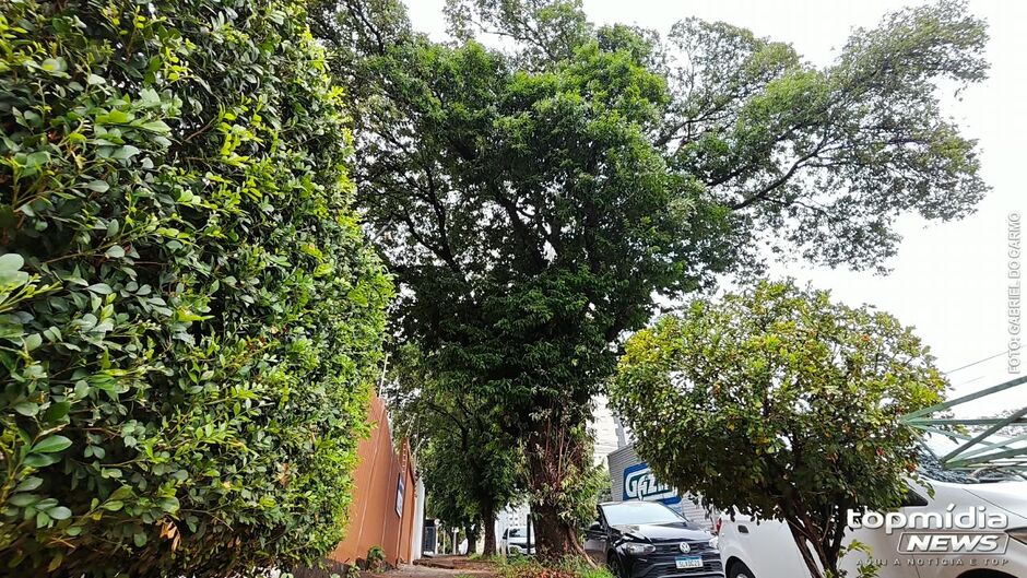 Porta danificada ser&aacute; trocada; or&ccedil;amento ficou em R$ 5 mil