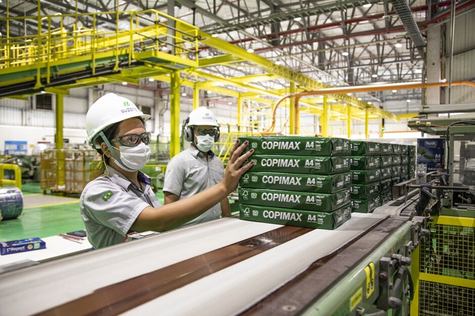 Celulose virou destaque da economia 