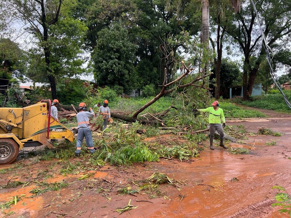Publica&ccedil;&atilde;o omite detalhes de suspens&atilde;o 