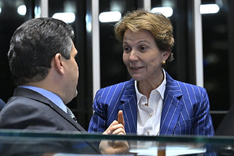 Tereza diz ser pr&eacute;-candidata ao Senado 