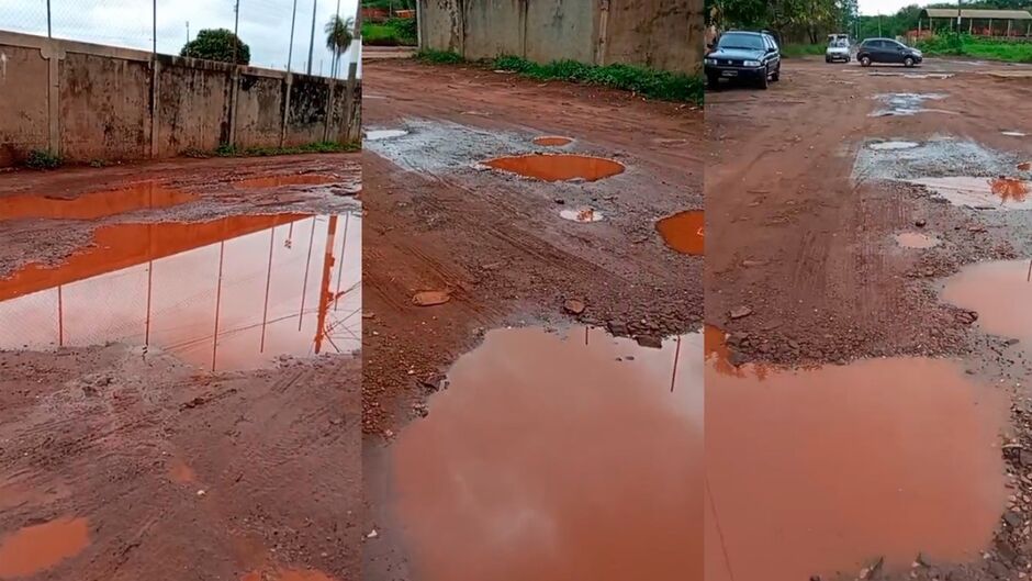 Situa&ccedil;&atilde;o da rua colocou animais em risco 