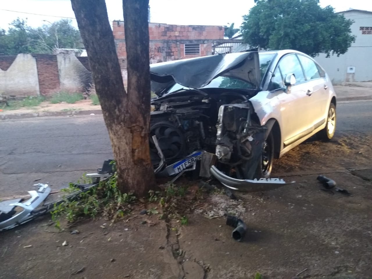 Motorista Bate Carro Em árvore E Morre Em Campo Grande Portal Top