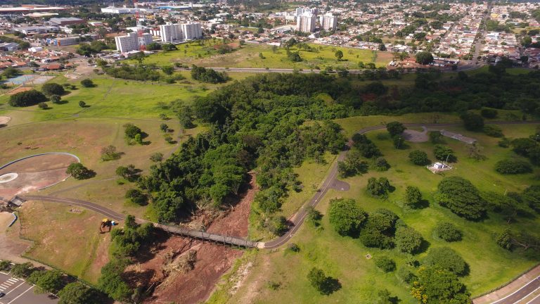 Segundo Prefeitura, haverá compensação pela derrubada das árvores 