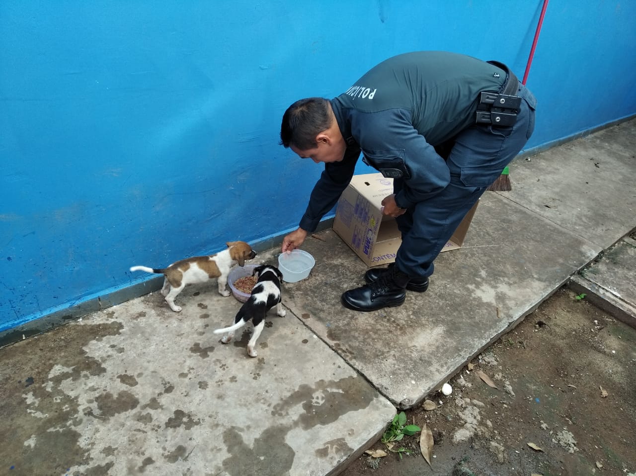 Carreta da Alegria anima bairros e até policiais param para acompanhar em Campo  Grande (vídeo) - Portal TOP Mídia News