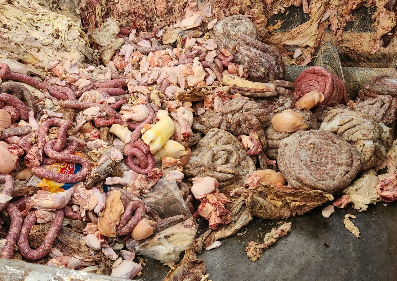 615 quilos de carne estragada foram apreendidos 