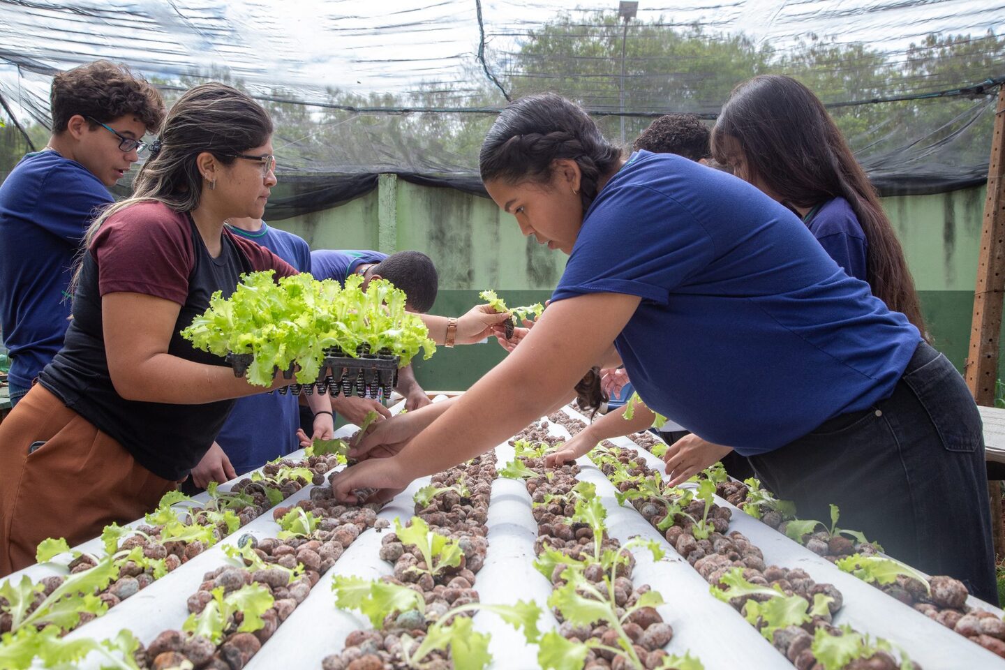 Ar condicionado e horta envolvem alunos de diversas áreas da escola