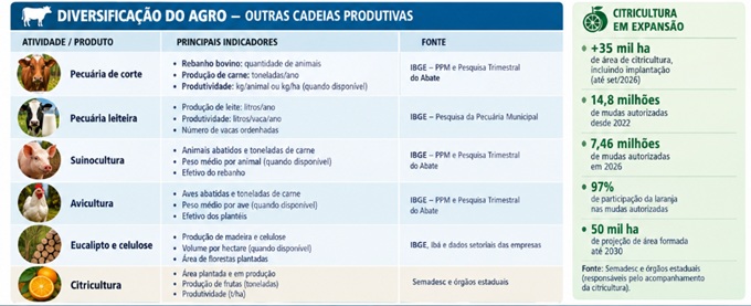 Celulose virou destaque da economia