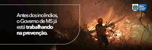 SEGOV - INCENDIOS - JUNHO 2025 2
